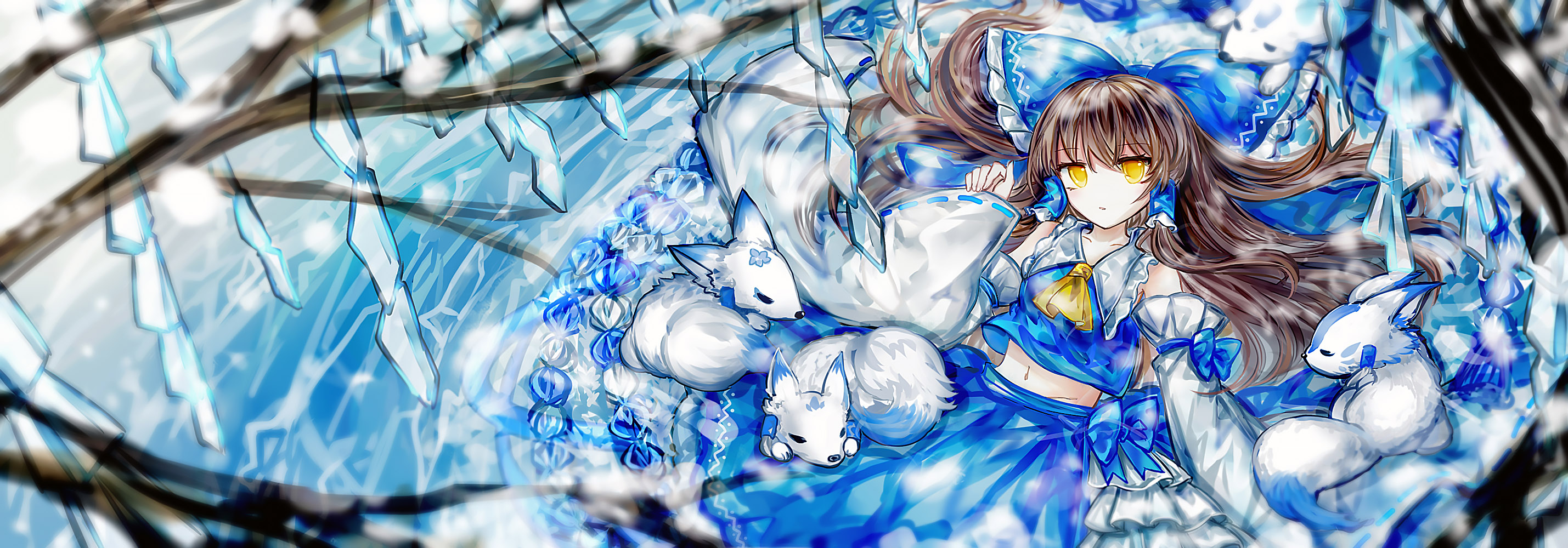 Header image